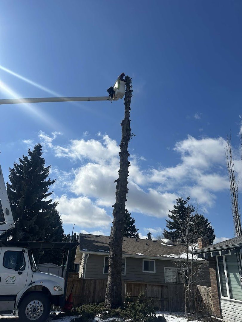 Bucket truck removing a tree in a residential yard
